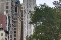 wp-1468716622518