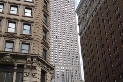 wp-1468716623530