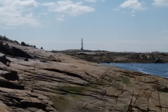 wp-1469398009921