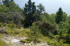 wp-1469398010116