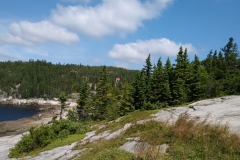 wp-1469398010538