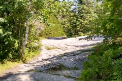 wp-1469398012988