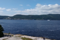 wp-1469398013722