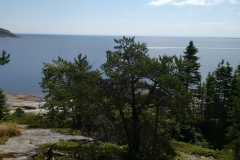 wp-1469398014937